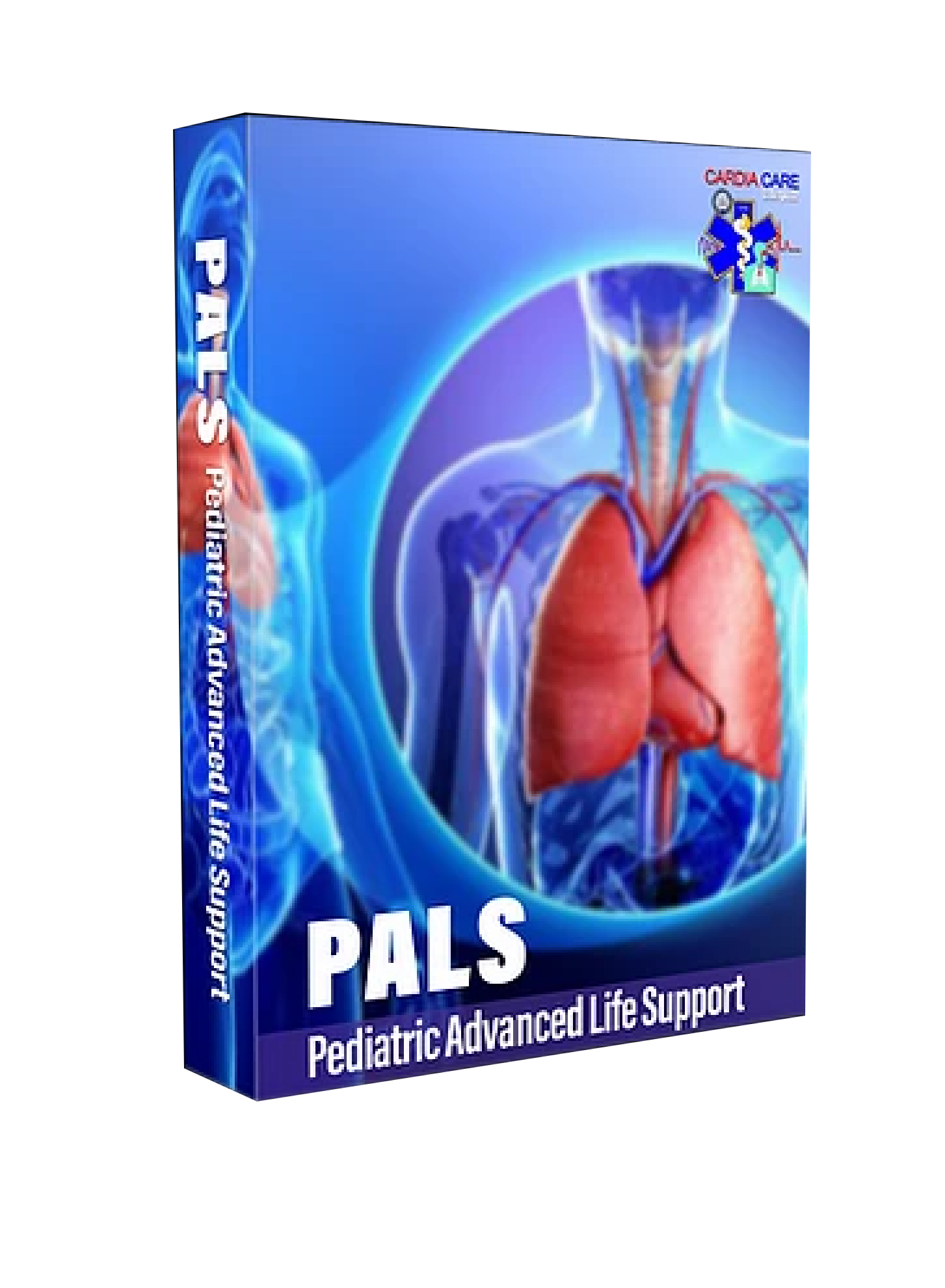 Pediatric Advanced Life Support (PALS)